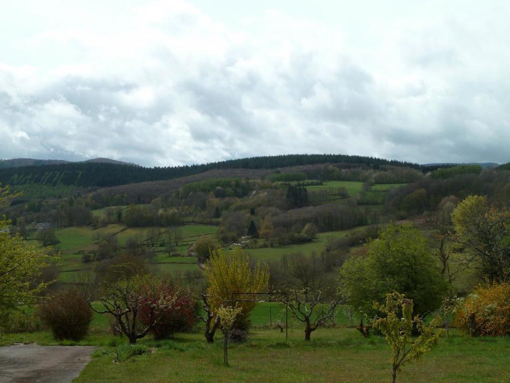 Gite Meuble Anost Exterior foto